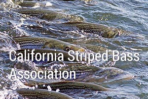 California Striped Bass Association