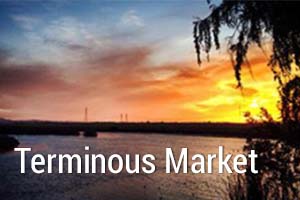 Terminous Market